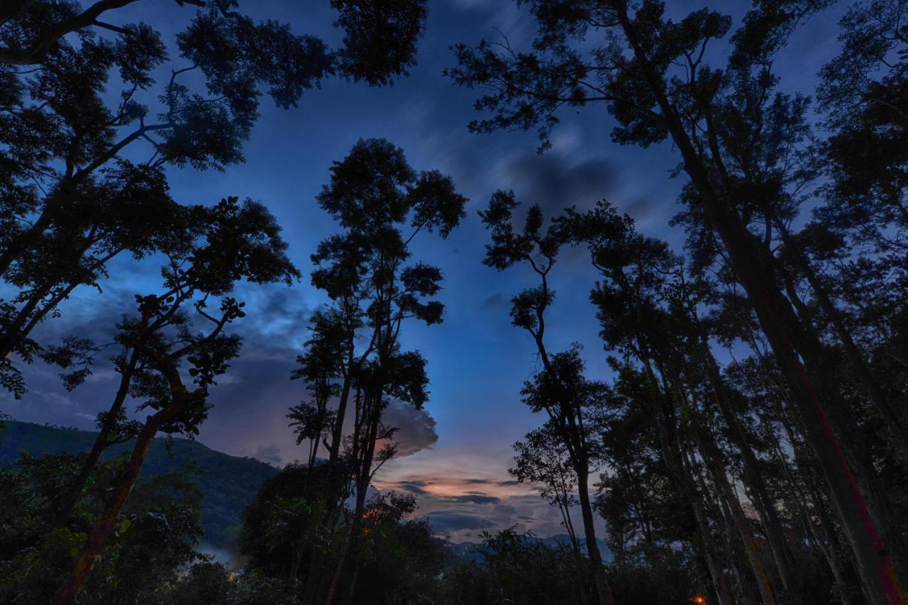 Greenwoods Resort, Thekkady Dış mekan fotoğraf